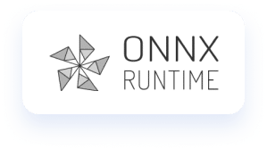 onnx runtime for optimize page