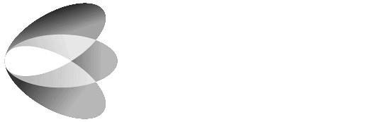 Irisity logo white